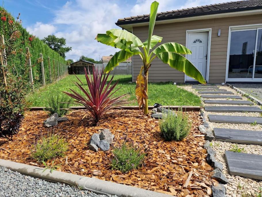La Villa Des Pins Maison Standing 7 Pers Terre Et Mer Brach Luaran gambar